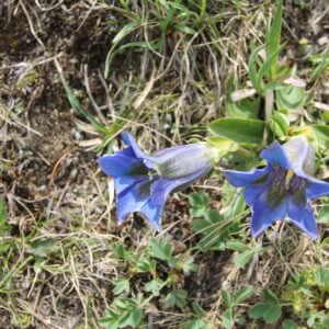 スイス|世界遺産|スイス旅行@ブループラネットツアー