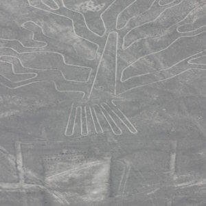 ナスカの地上絵｜マチュピチュ遺跡｜ペルー・マチュピチュとナスカ旅行＠ブループラネットツアー