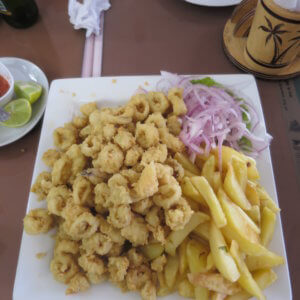 ナスカの地上絵｜マチュピチュ遺跡｜ペルー・マチュピチュとナスカ旅行＠ブループラネットツアー