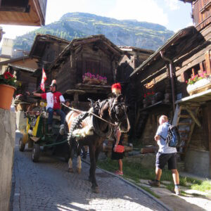 ステリゼー|アルプス|スイス|世界遺産|スイス旅行@ブループラネットツアー