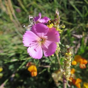 スイス|世界遺産|スイス旅行@ブループラネットツアー