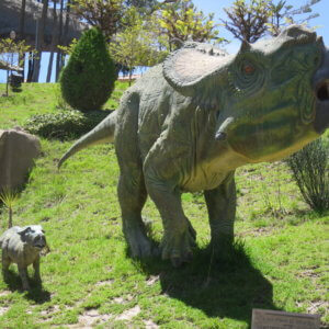 ウユニ塩湖|天空の鏡|ボリビア‘・ウユニ塩湖旅行@ブループラネットツアー