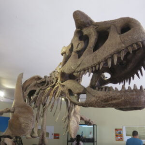 ウユニ塩湖|天空の鏡|ボリビア‘・ウユニ塩湖旅行@ブループラネットツアー