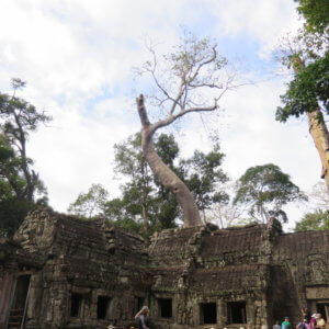 タプローム|アンコールワット|カンボジア旅行@ブループラネットツアー