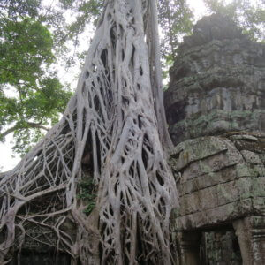 タプローム|アンコールワット|カンボジア旅行@ブループラネットツアー