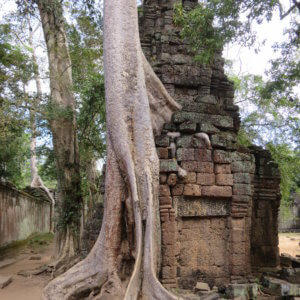 タプローム|アンコールワット|カンボジア旅行@ブループラネットツアー