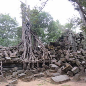 ベンメリア|アンコールワット|カンボジア旅行@ブループラネットツアー