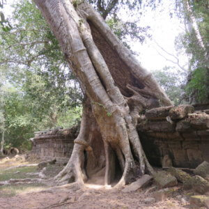 タプローム|アンコールワット|カンボジア旅行@ブループラネットツアー