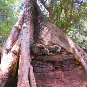 タプローム|アンコールワット|カンボジア旅行@ブループラネットツアー