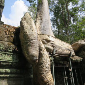 タプローム|アンコールワット|カンボジア旅行@ブループラネットツアー