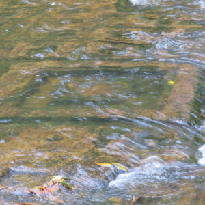 プノンクーレン|アンコールワット|カンボジア旅行@ブループラネットツアー