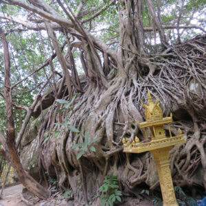 プノンクーレン|アンコールワット|カンボジア旅行@ブループラネットツアー