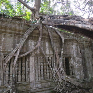 ベンメリア|アンコールワット|カンボジア旅行@ブループラネットツアー