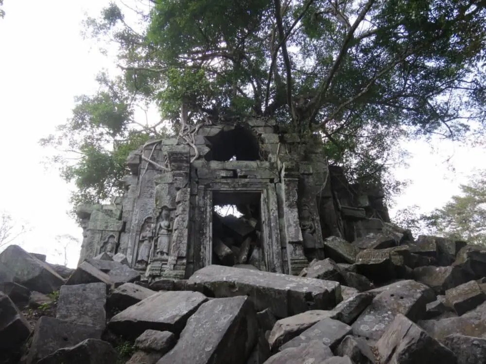ベンメリア遺跡のアーチ状の入口と上部に生えた木