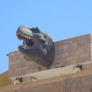 ウユニ塩湖|天空の鏡|ボリビア‘・ウユニ塩湖旅行@ブループラネットツアー