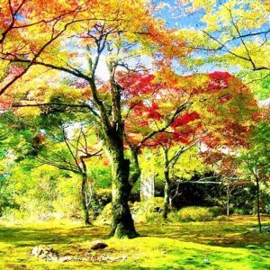 京都　紅葉の道と湯の花温泉