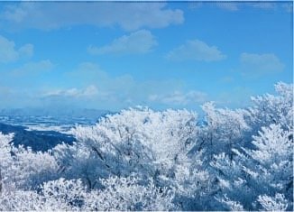 日本|世界遺産|熊野の路旅行@ブループラネットツアー