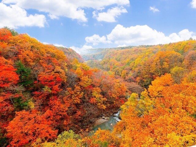 日本|みちのく|八甲田旅行@ブループラネットツアー
