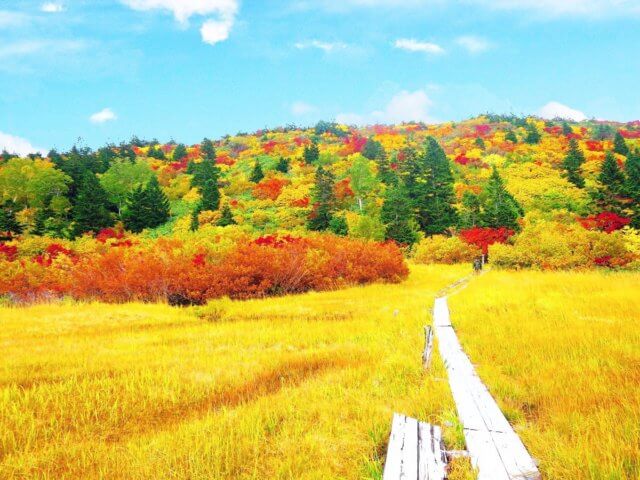 日本|みちのく|八甲田旅行@ブループラネットツアー