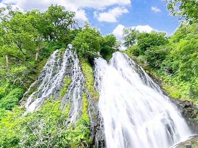 日本|世界遺産|北海道|知床旅行@ブループラネットツアー