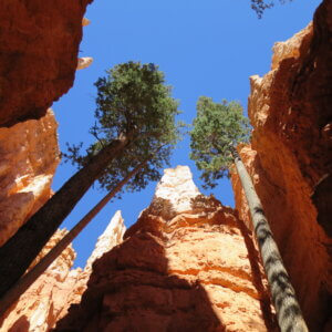 アメリカ|グランドサークル旅行@ブループラネットツアー