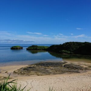 西表島 公式サイト】西表島のシュノーケリングツアー／Rayreef