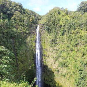 ハワイ|ハワイ島旅行@ブループラネットツアー