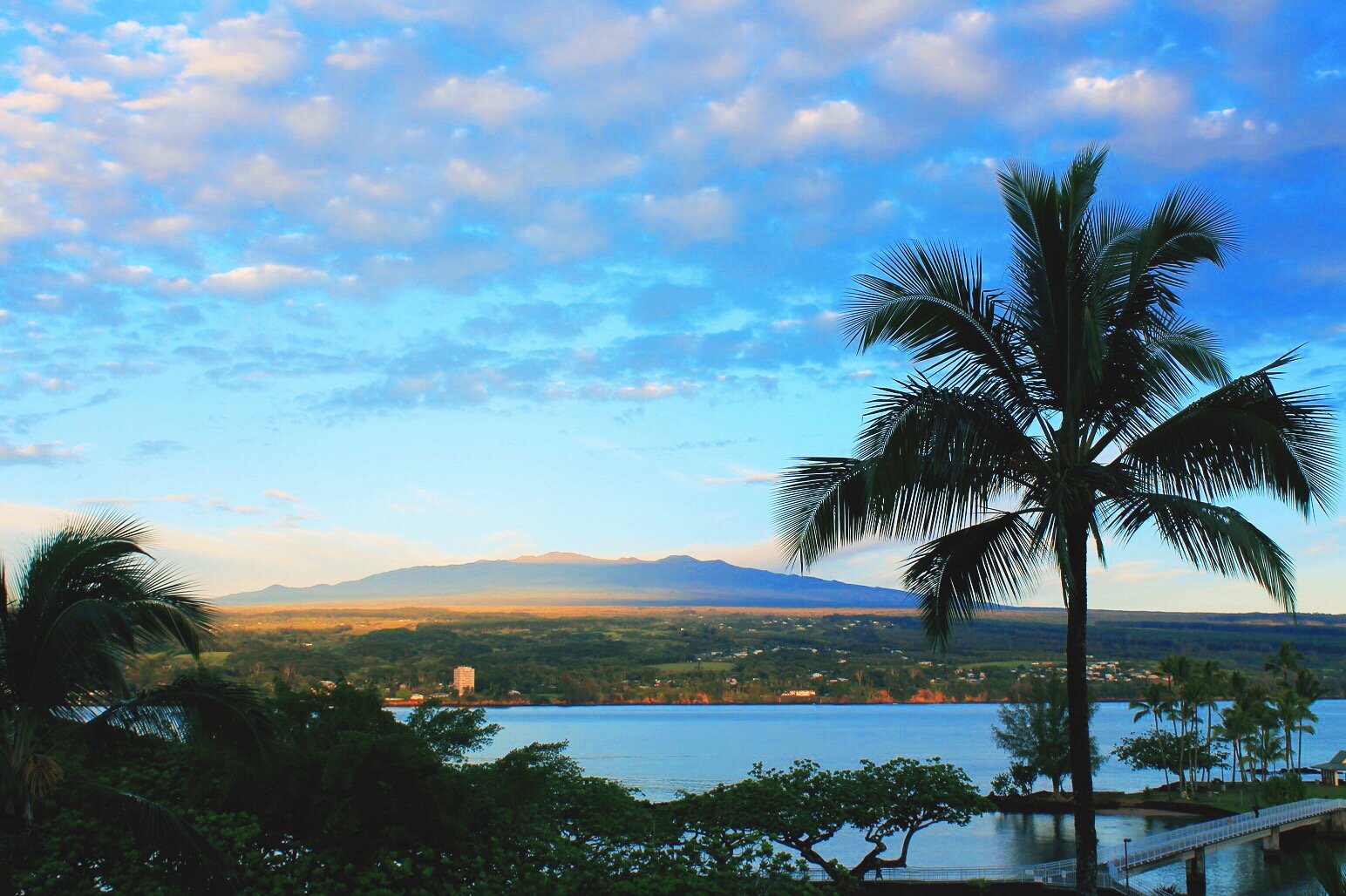 ハワイ島ツアー22 大自然のハワイ島ハイキング6日間の旅