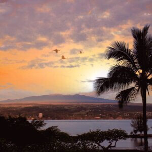 ハワイ|ハワイ島旅行@ブループラネットツアー