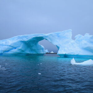南極クルーズ船|南極・南極上陸クルーズ旅行@ブループラネットツアー