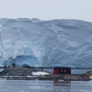 南極クルーズ船|南極・南極上陸クルーズ旅行@ブループラネットツアー