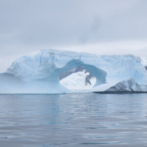 南極クルーズ船|南極・南極上陸クルーズ旅行@ブループラネットツアー