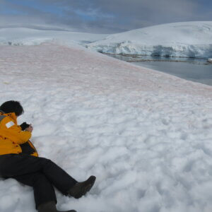 南極クルーズのベストシーズン！シーズンごとの魅力は？
