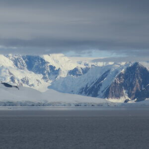 南極クルーズ船|南極・南極上陸クルーズ旅行@ブループラネットツアー