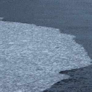 南極クルーズ船|南極・南極上陸クルーズ旅行@ブループラネットツアー