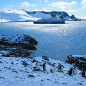 南極クルーズ船|南極・南極上陸クルーズ旅行@ブループラネットツアー
