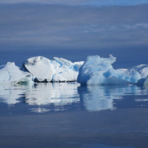 南極クルーズ船|南極・南極上陸クルーズ旅行@ブループラネットツアー