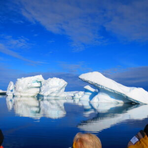 南極クルーズ船|南極・南極上陸クルーズ旅行@ブループラネットツアー