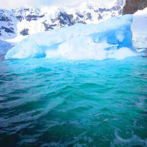 南極クルーズ船|南極・南極上陸クルーズ旅行@ブループラネットツアー