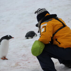 南極観光は規制に要注意！ルールを守った観光を行うための重要事項