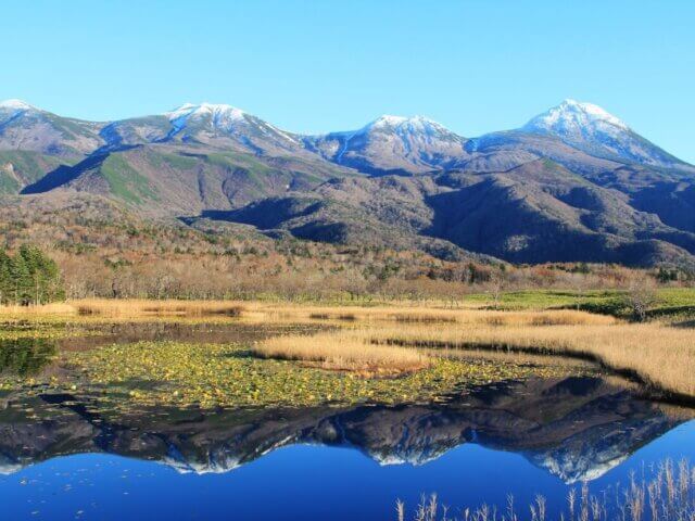 世界遺産｜北海道 知床半島を歩くツアー