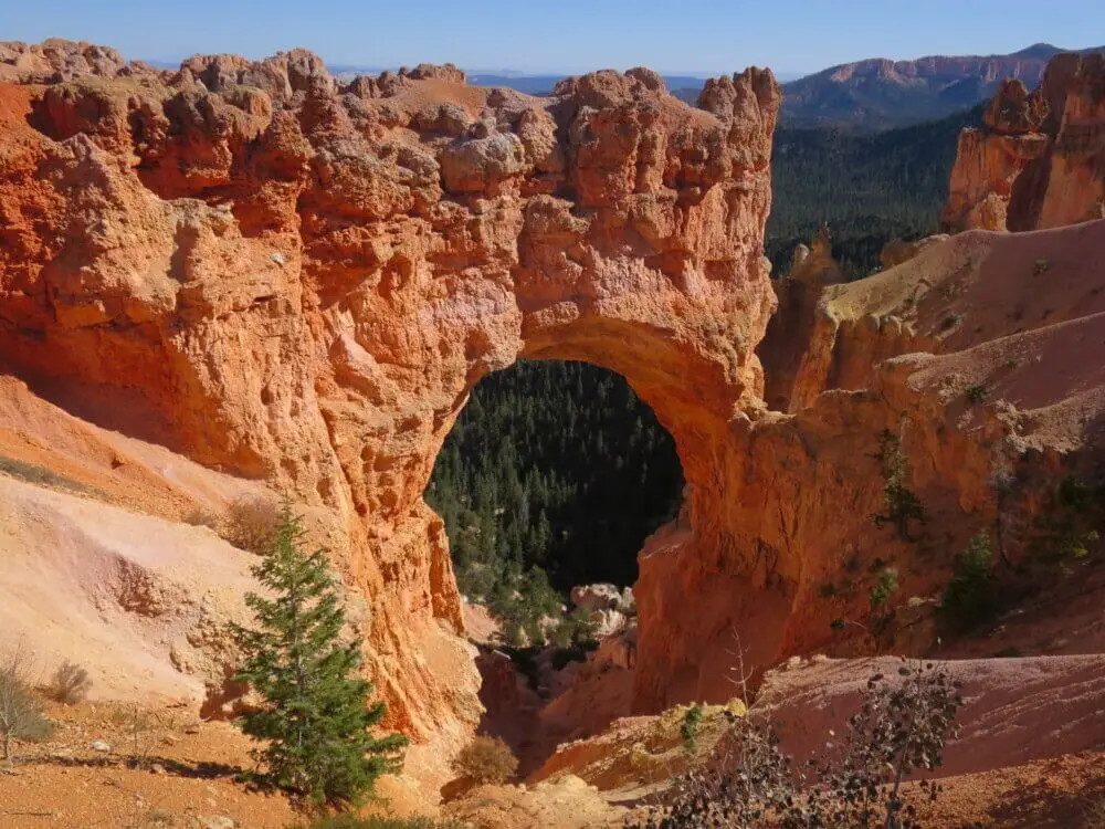 自然の力で削られた赤い岩のアーチと、その奥に広がる深い森
