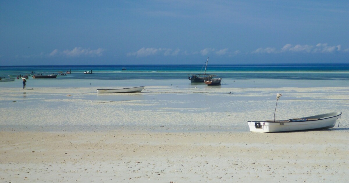 東アフリカ探訪の魅力！主要都市、安全情報、そして気候について｜旅人ガイド【東アフリカ編】