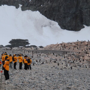 南極クルーズツアー2025｜ネイチャーガイドと行く南極ツアー15日間の旅