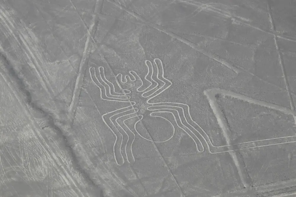 ペルーのナスカの地上絵に描かれた巨大なクモ