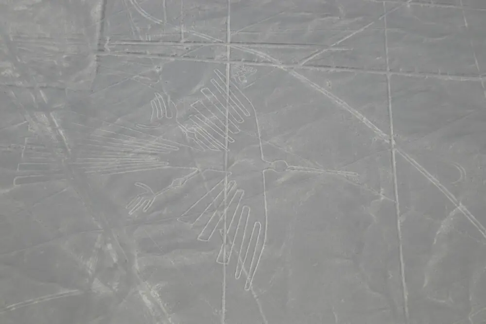 ナスカの地上絵「コンドル」の鳥瞰図