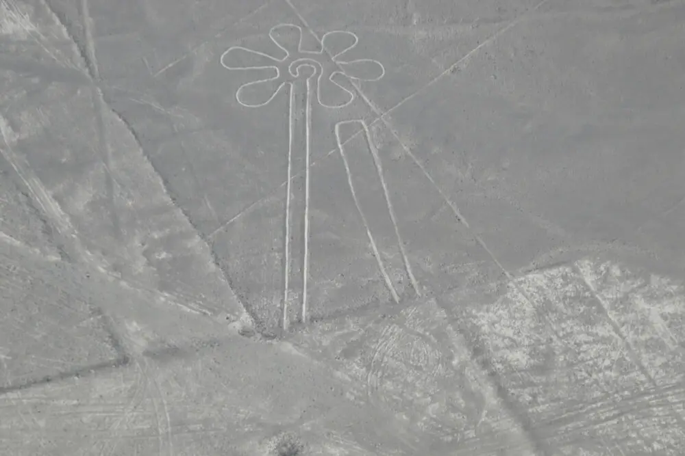 ナスカの地上絵「花」を空から見た様子
