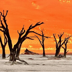 デッドフレイなど絶景を巡る南部アフリカ5か国周遊ツアー